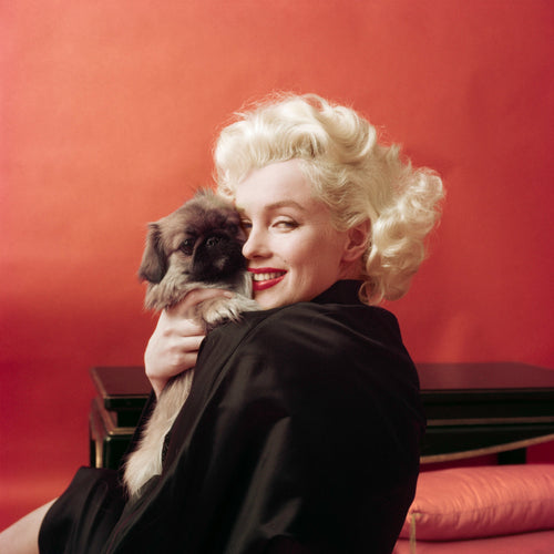 MARILYN WITH DOG, NEW YORK, 1955