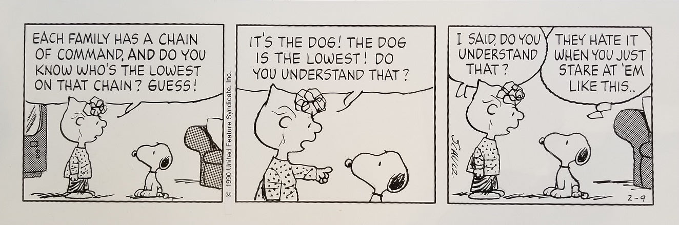 snoopy comic strips with notes